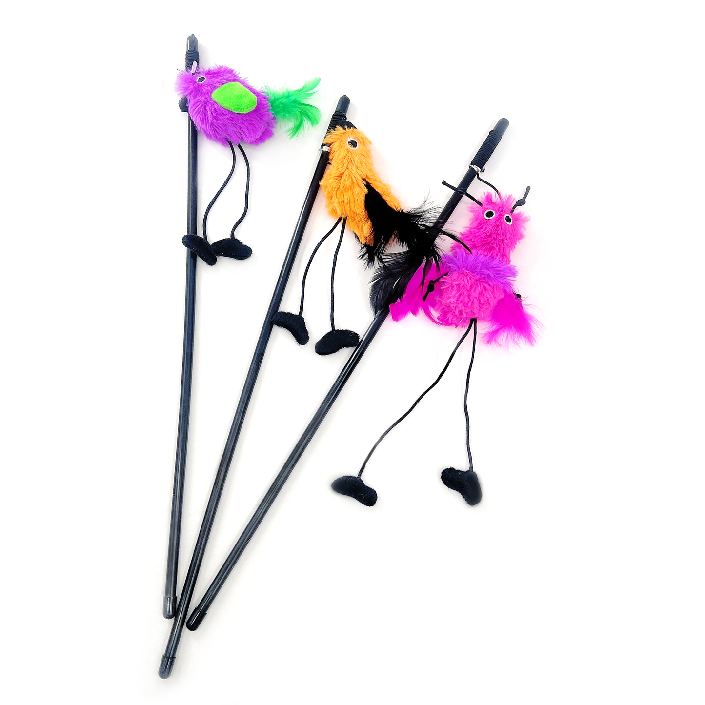 PACK « MER » - Sprats et moules