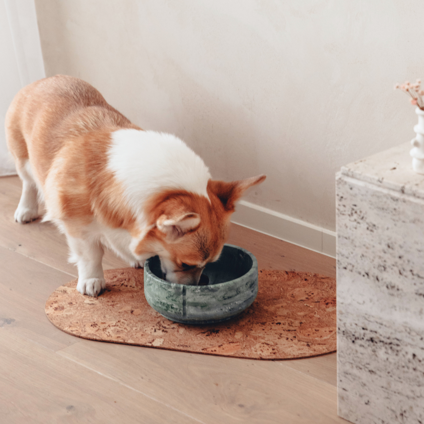 Gamelle - Vert canard