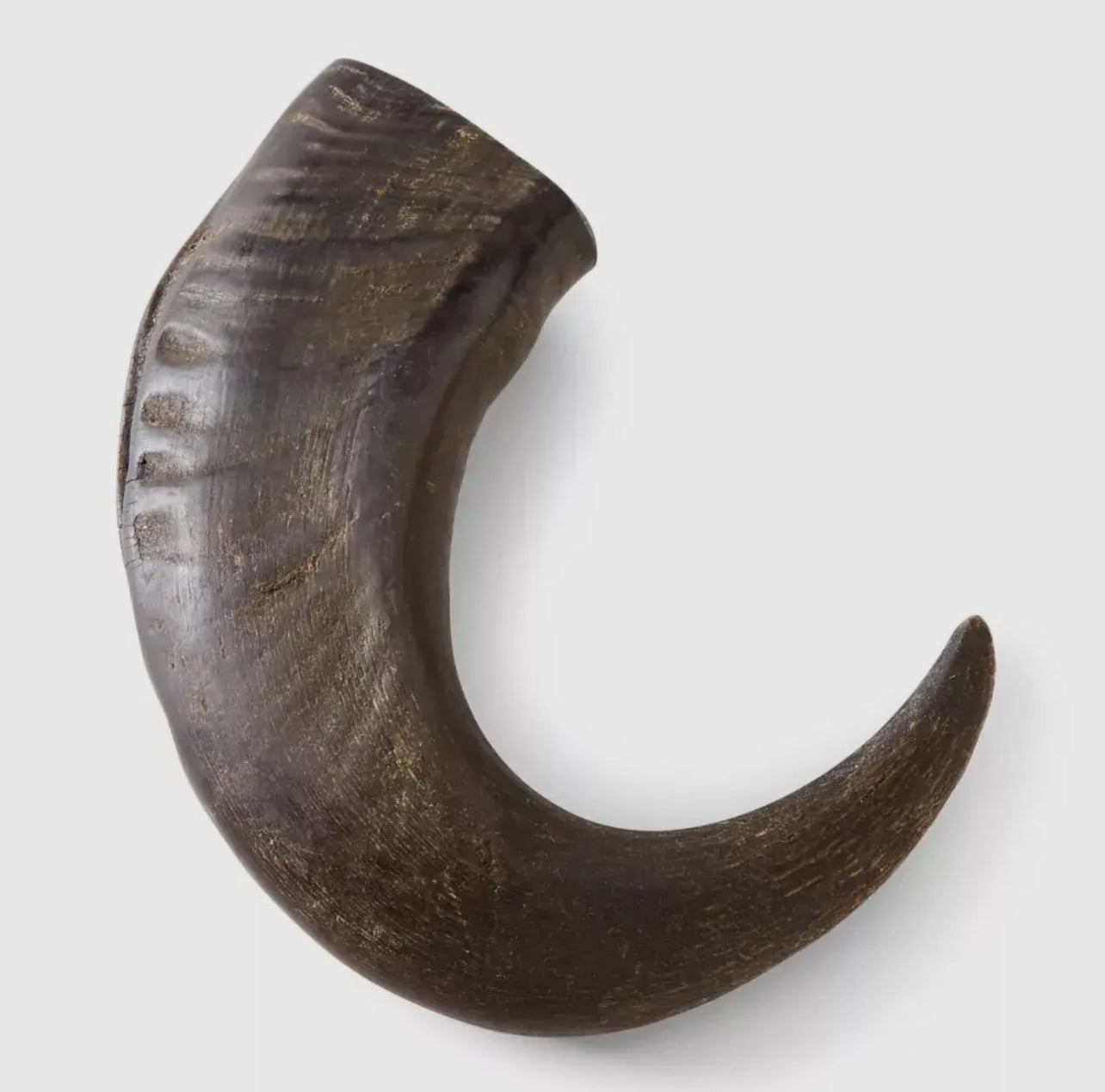 Corne de buffle pour chiens