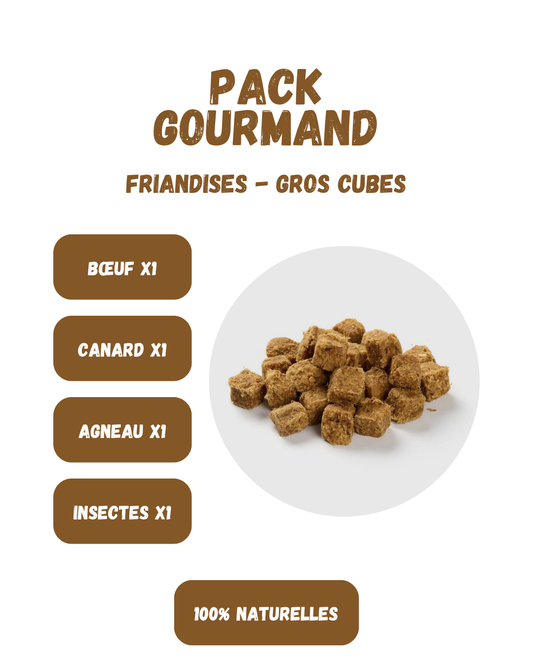 PACK GOURMAND - Gros cubes