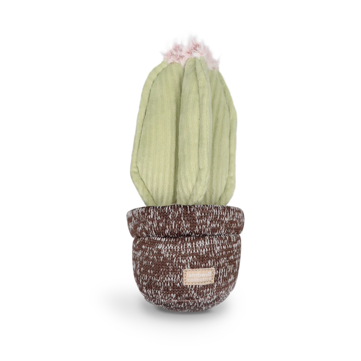 Jouet de fouille - Cactus