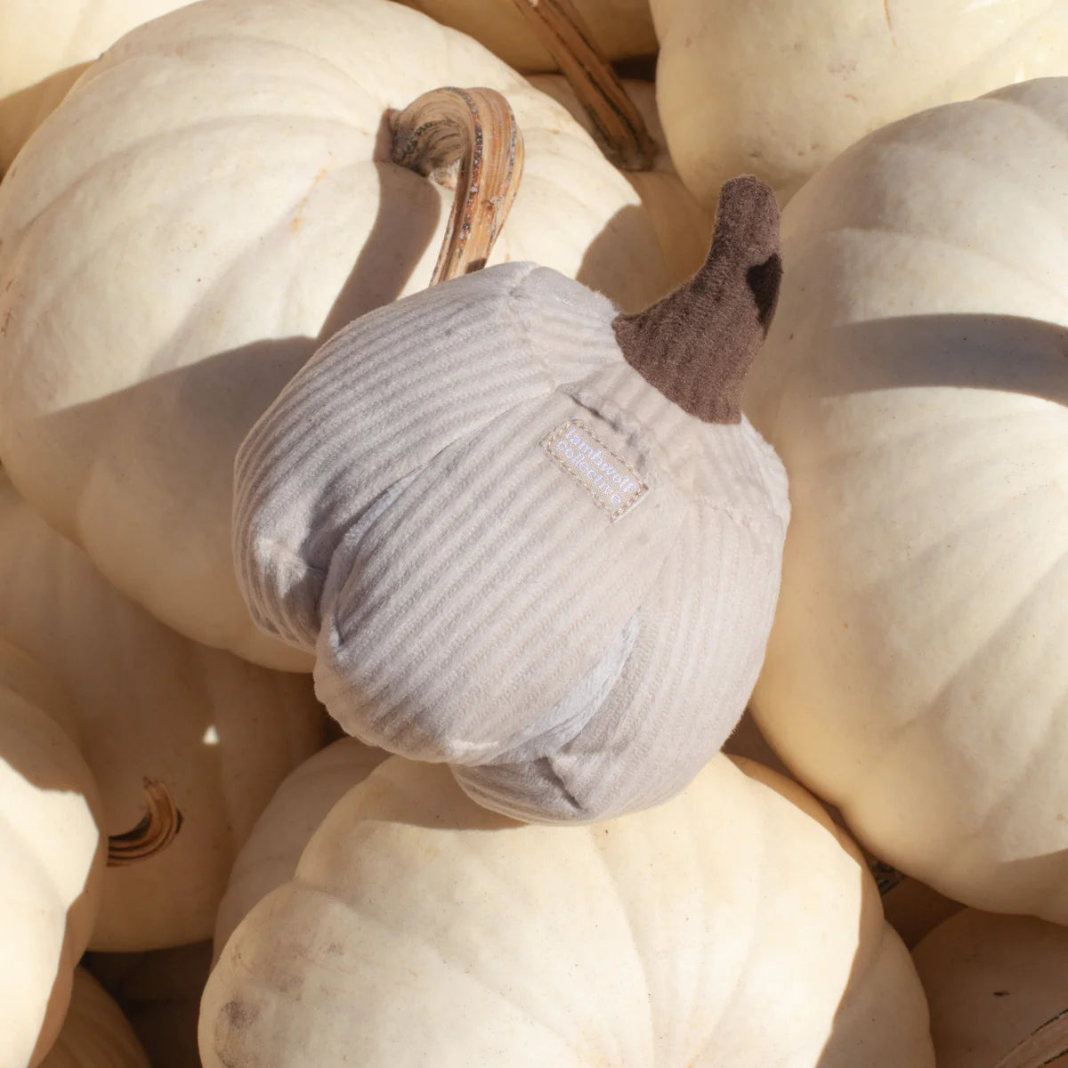 Jouet de fouille - Mini courge