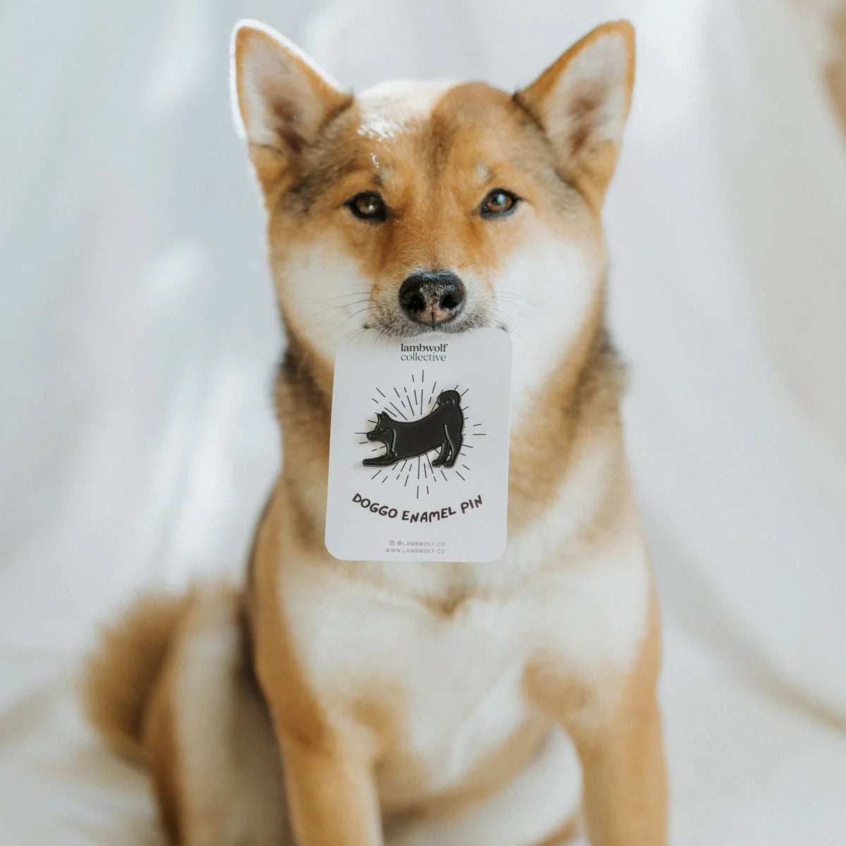 Pins - Shiba