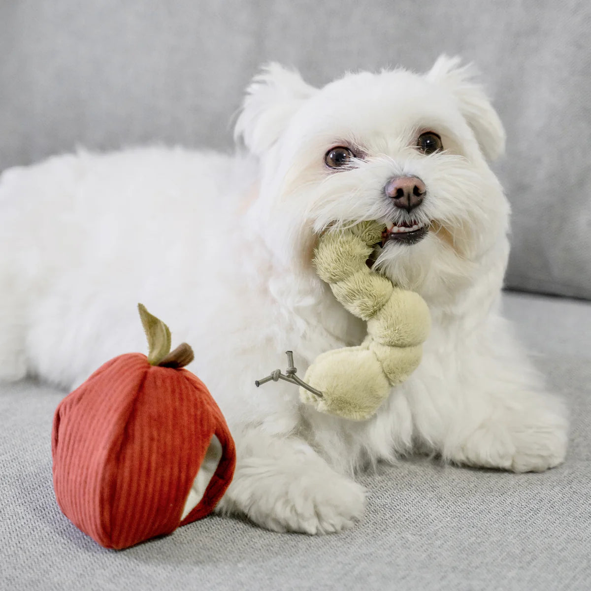 Jouet de fouille - Pomme rouge